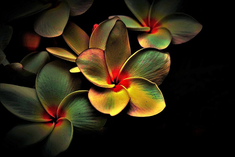 Abstract Artistic Plating
